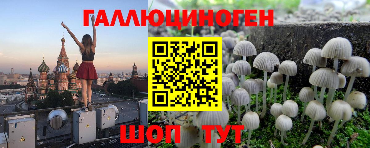 Псилоцибиновые грибы Magic Shrooms  Вход с VPN  Псилоцибиновые грибы мицелий  Саянск 