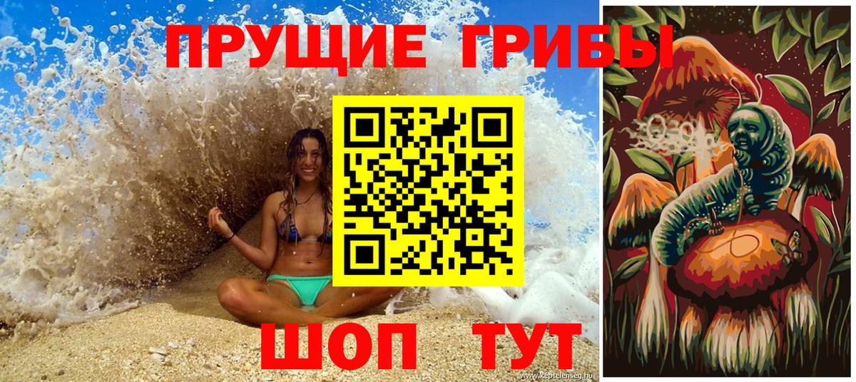 Галлюциногенные грибы Psilocybe Саянск